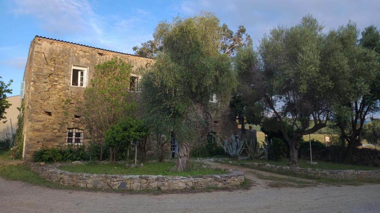 Domaine Ostriconi Palasca (Corsica) Exterior foto